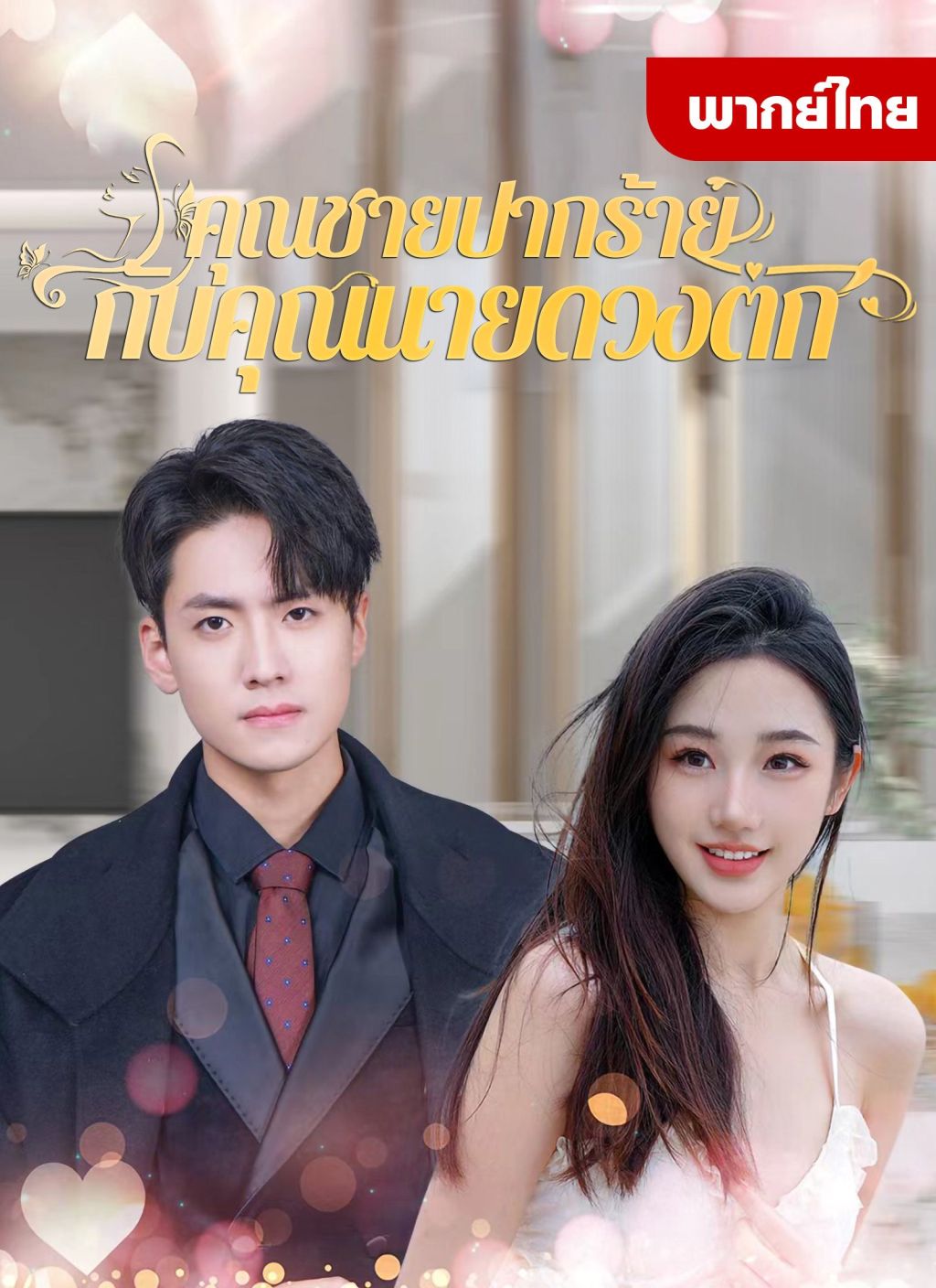 หนังจีน คุณชายปากร้ายกับคุณนายดวงตก ดูหนังจีนออนไลน์ หนังจีนพากย์ไทย