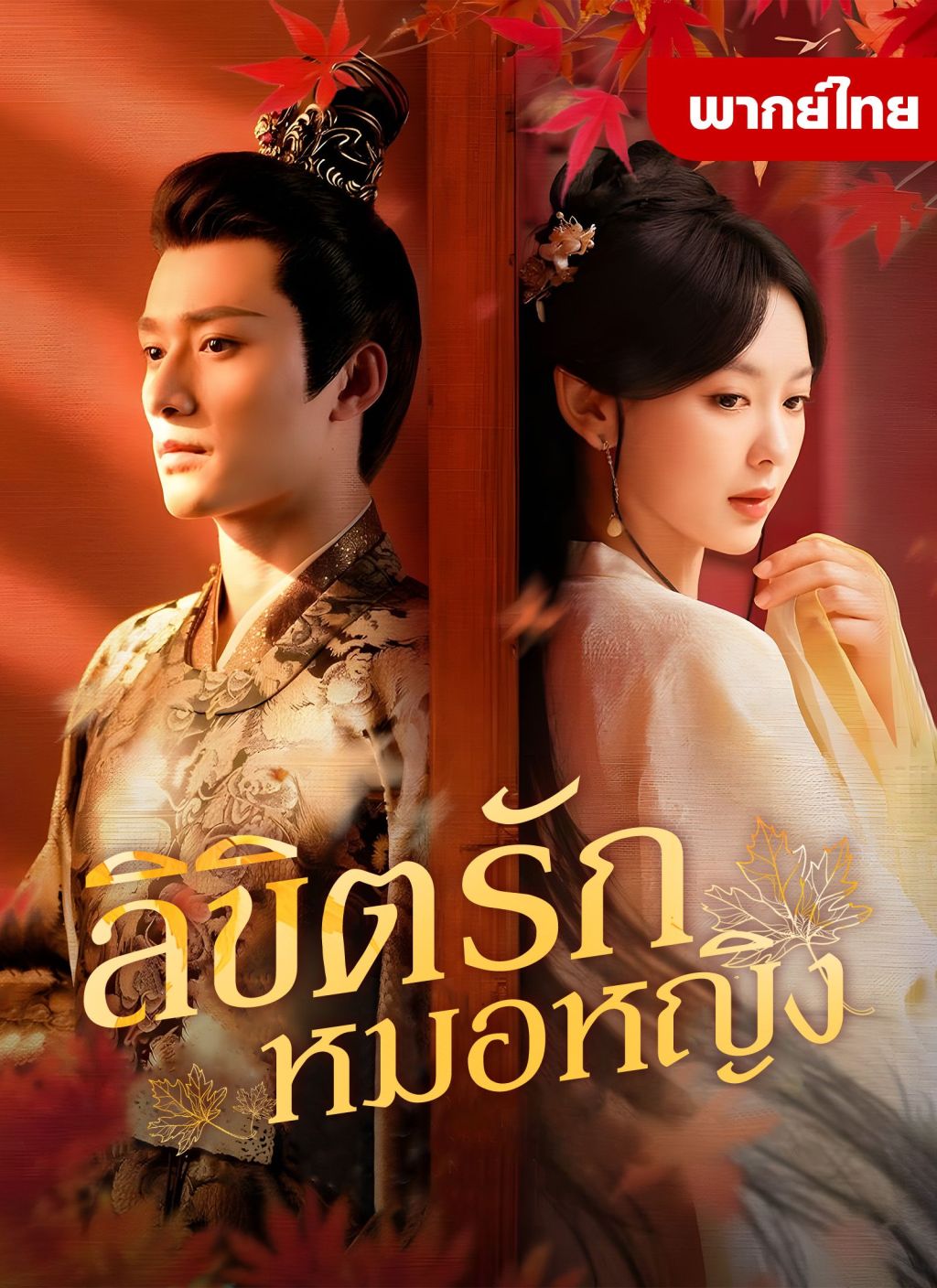 หนังจีน ลิขิตรักหมอหญิง ดูหนังจีนออนไลน์ หนังจีนพากย์ไทย