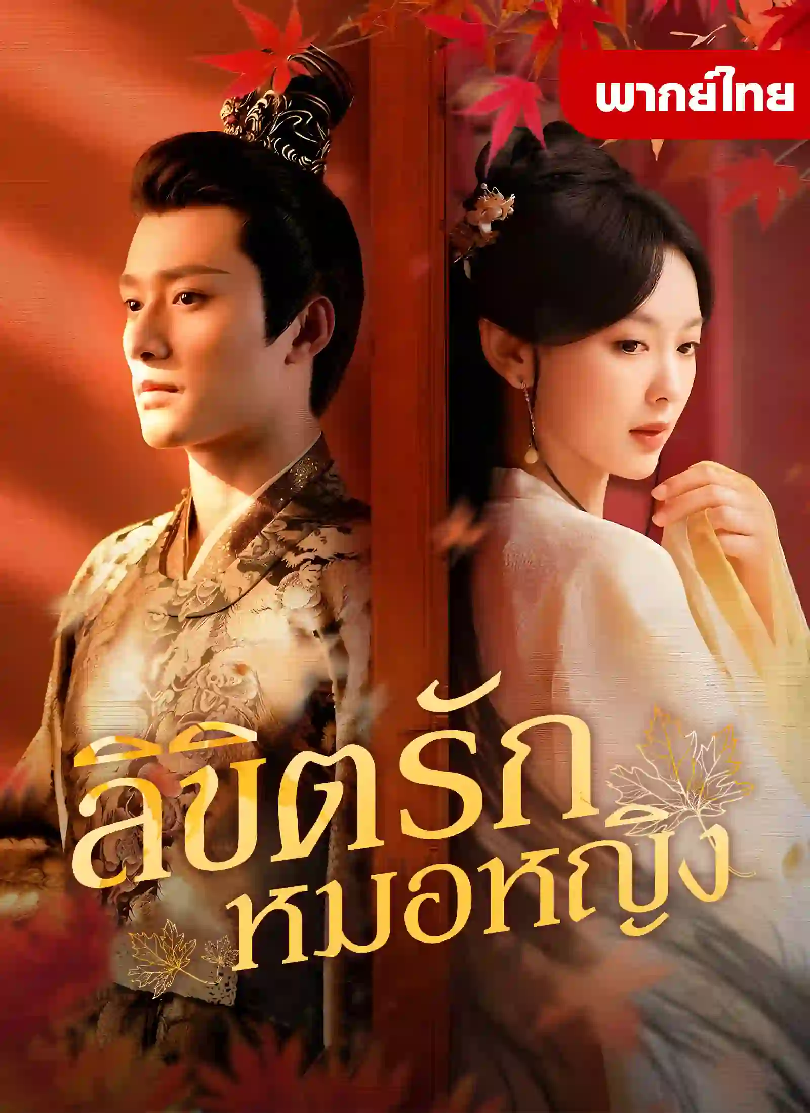 หนังจีน ลิขิตรักหมอหญิง ดูหนังจีนออนไลน์ หนังจีนพากย์ไทย